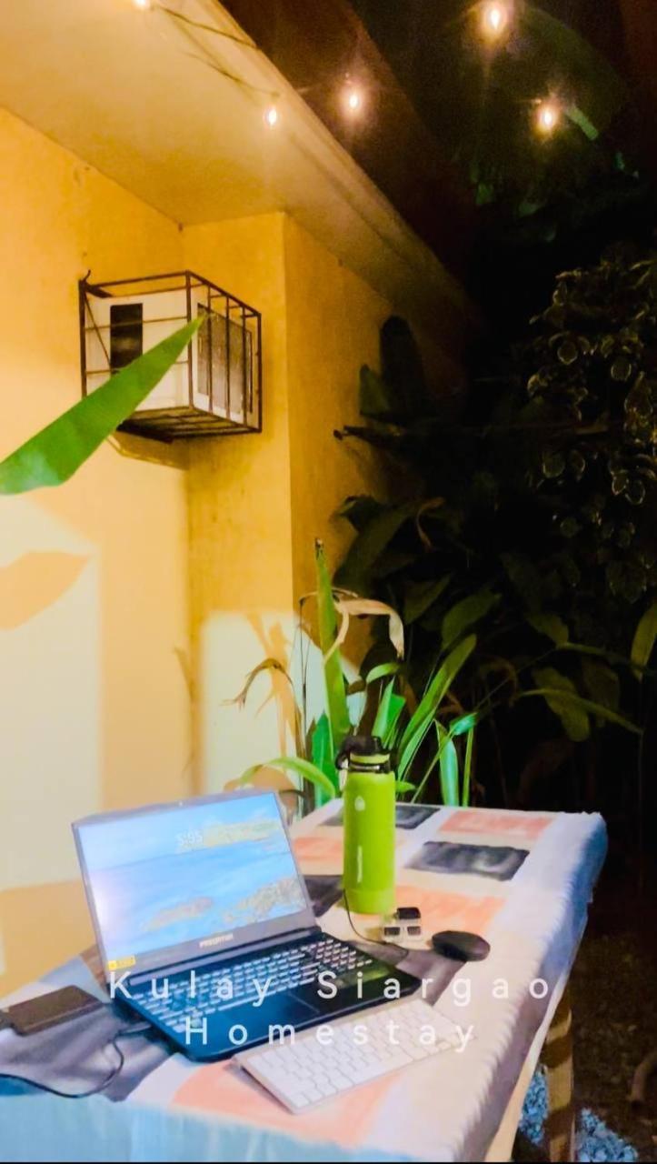 Ameeza Houze Homestay - Siargao 卢纳将军城 外观 照片