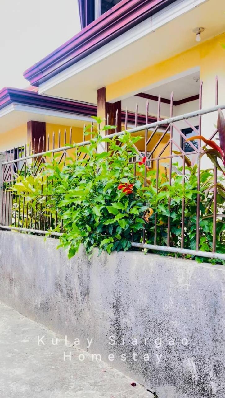 Ameeza Houze Homestay - Siargao 卢纳将军城 外观 照片